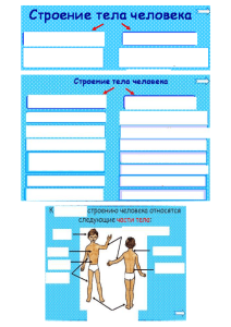 Строение тела чел. проверочная