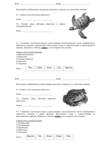 Тест систематика