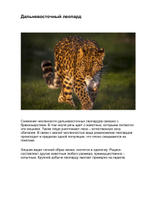 Документ леопард