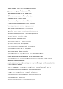 218 терминов зачет спланхнология