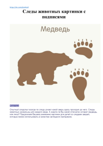 Sledy zhivotnykh kartinki s podpisyami