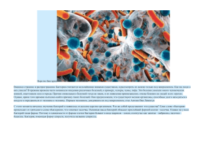бактерии лекция подг.егэ