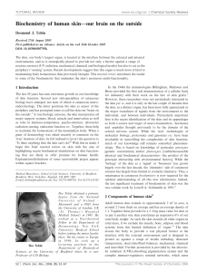 Biochemistry of human skin