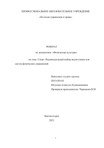 Спорт. Индивидуальный выбор видов спорта или систем физических упражнений