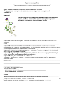 Практическая работа по биологии "Изучение внешнего строения Покрытосеменных"