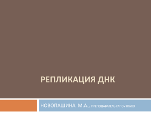 РЕДУПЛИКАЦИЯ ДНК