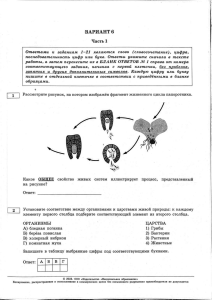OGE 2023 Biologiya 30var variant-06 s-otv (1).PDF