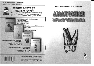 Anatomia zubov cheloveka Gayvoronskiy