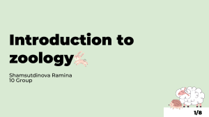 Introduction to zoology