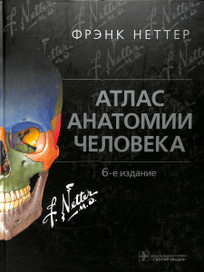 Frenk Netter Atlas anatomii cheloveka