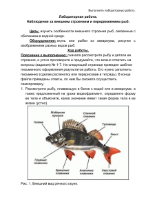 Рыбы Задание 7 биология 26.11.2020