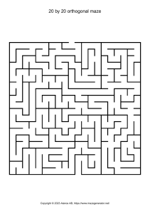 20 by 20 orthogonal maze