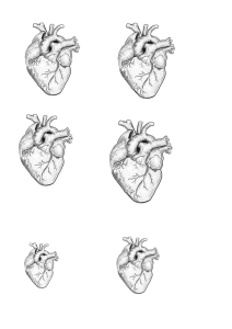 сердце человеческое
