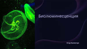 биолюминесценция