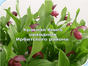 Красная книга орхидных Ирбитского района