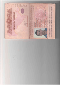 Pasport (1)