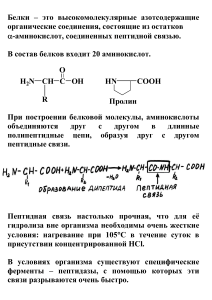 Биохимия лекции