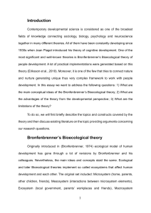 Essay on the Bronfenbenner's bioecological developmental theory