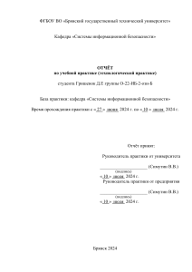 первые 3стр отчета