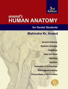 Anand 39 s Human Anatomy for Dental Students
