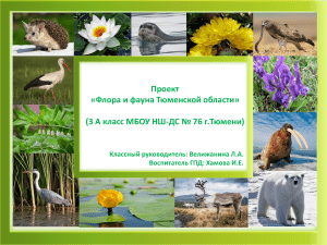 Проект "Флора и фауна Тюменской области" 3 А класса МБОУ НШ-ДС № 76 г. Тюмени