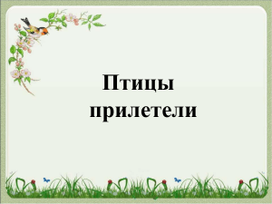 Птицы прилетели