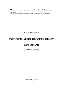 Топография внутренних органов