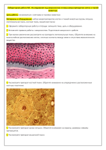 Лабораторная работа №1. Исследование под микроскопом готовых микропрепаратов клеток и тканей животных.