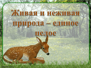 Живая и неживая природа