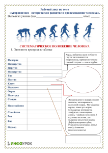 рабочий лист по теме Антропогенез - историческое развитие и происхождение человека