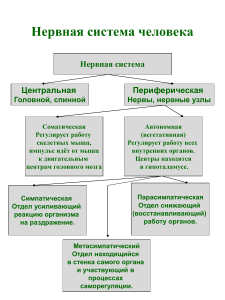 нейрон