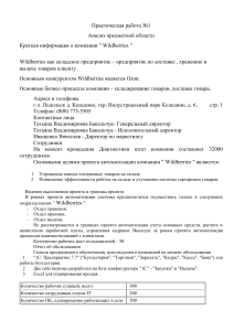 Практическая работа 1 Анализ предметной области Краткая информация о компании   Wildberries  