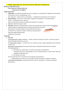 Ответы к сессии по Зоологии беспозвоночных. 2 семестр