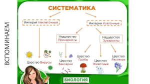 sistematika rasteniy dlya 7 klassov