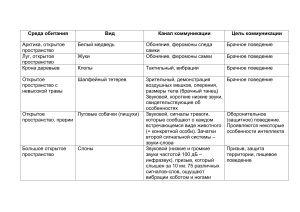 Козырева Коммуникация