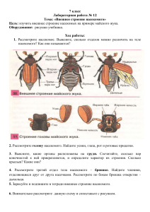 4. 8  класс -насекомые