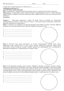 Лабораторная работа "Изучение тканей животного организма"