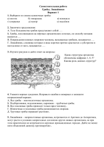 Самостоятельная работа грибы и лишайники 7 класс