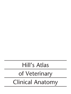 HillsAtlasOfClinicalAnatomy-secured