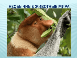 НЕОБЫЧНЫЕ ЖИВОТНЫЕ МИРА