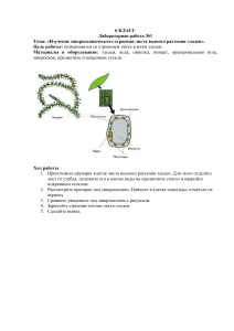 6 класс лаб
