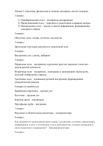 Анатомия 3 тема, онлайн бесплатно без смс и регистрации