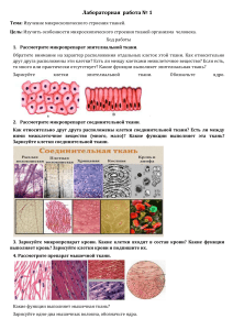Лабораторная работа  Изучить особенности микроскопического строения тканей организма человека .