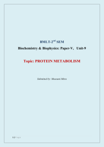 Protein Metabolism