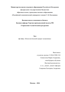 Эссе на тему: «Психологический портрет мошенника» Выполнила