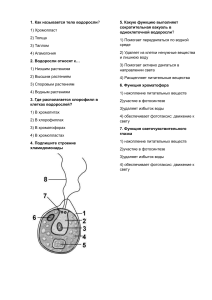 тест водоросли 6 класс