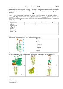 Проверочная работа по теме  Мхи