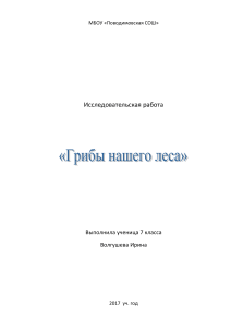 Исследовательская работа   грибы нашего леса 
