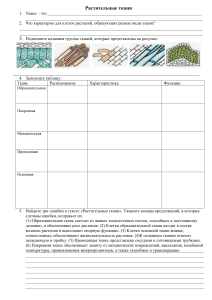 7 Растительные ткани