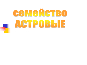 Семейство астровые